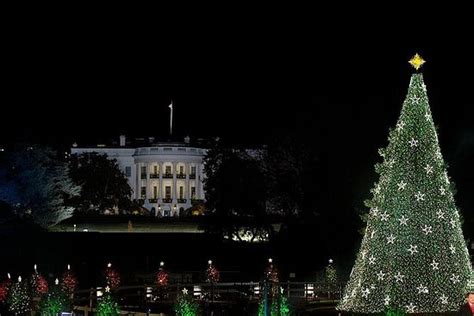 TripAdvisor | Washington DC Christmas Lights Tour provided by Tour ...