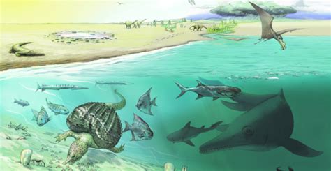 Giant ichthyosaur fossils reveal the last days of Triassic marine ...