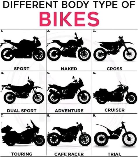 Different body types of Bikes : r/coolguides