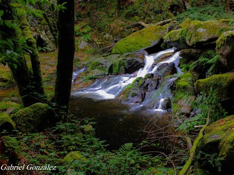 Free Images Landscape Tree Nature Rock Waterfall Creek Wilderness Leaf River Valley