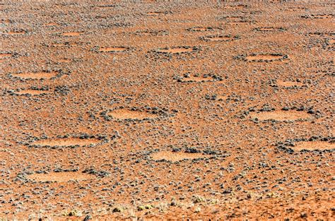 Scientists Discover Mysterious Fairy Circles” At Hundreds Of Sites