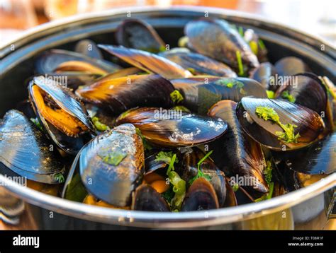 Front View Of A Bowl Of Mussels With Fries A Traditional Belgian