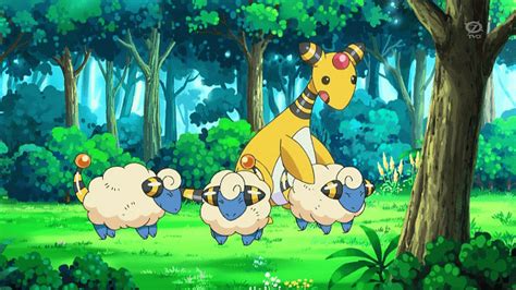 Pokemon Breeding Animated  On Imgur