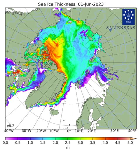 Polar bear sea ice habitat near the end of Arctic spring 2023 ...