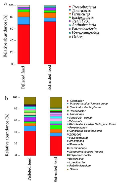 Relative Abundances Of The Dominant Bacteria At The A Phylum Level