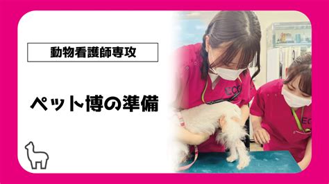 【動物看護師専攻】ペット博に向けて・・・準備ok 【スタッフブログ】eco日記｜名古屋eco動物海洋専門学校