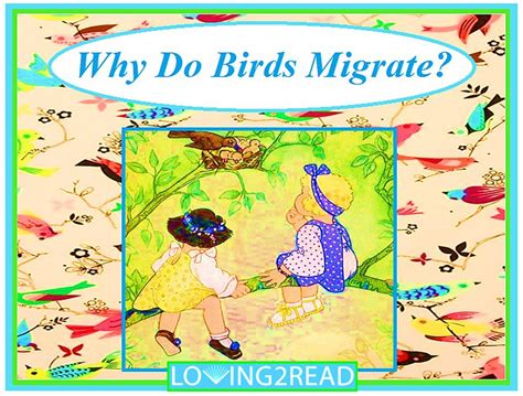 Why Do Birds Migrate? - Loving2Read