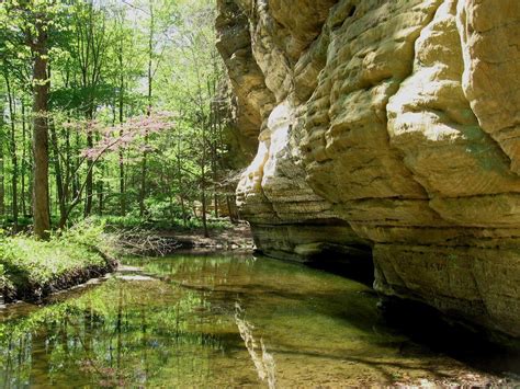 at Starved Rock State Park | Starved rock state park, State parks, Outdoor