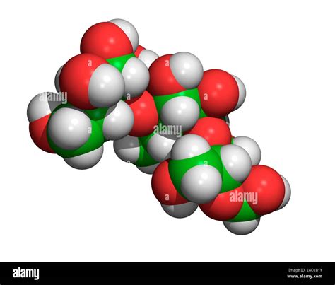 Amylose. Computer-generated molecular model of amylose. Amylose is ...