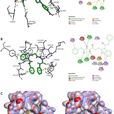 D And D Binding Modes Of Compound A A And Of Compound B In