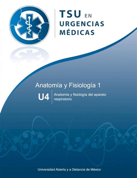 PDF Anatomía y Fisiología 1 U4 U4 Anatomía y fisiología del sistema