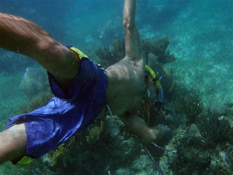 The BEST Snorkeling in Cancun | CARM Blog