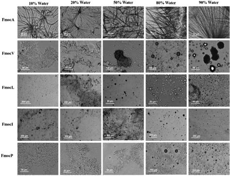 Solvent Controlled Self Assembly Of Fmoc Protected Aliphatic Amino