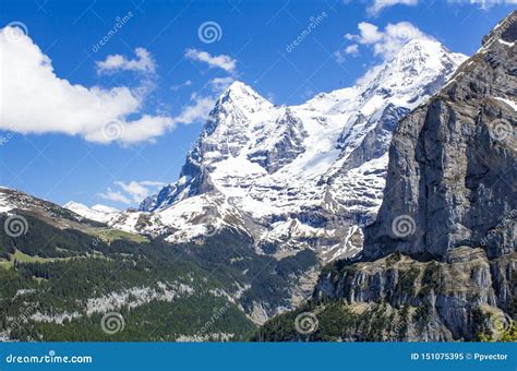 Zwitserse Alpen Alpiene Bergen Het Landschap Van De Berg Grote Rozsutec