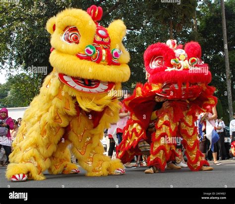 Singapore Lion & Dragon Dance