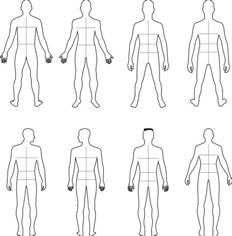 Human Body Front Back Outline Vector Images Over 650