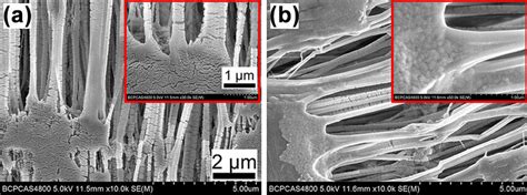 A Scanning Electron Microscope Sem Images Of The Ptfe Membrane Before