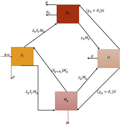 Flow diagram of malnutrition and underweight. | Download Scientific Diagram