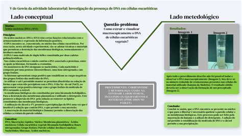 V de Gowin extrair e Visualizar DNA de células eucarióticas vegetais