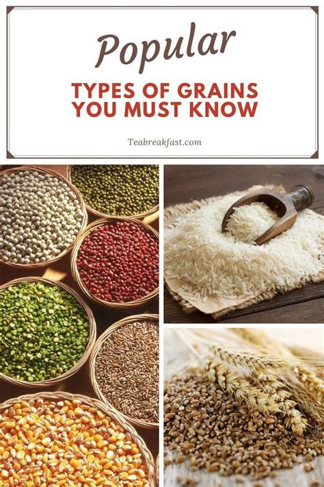 Popular Types of Grains You Must Know | Healthy grains, Healthy cereal ...