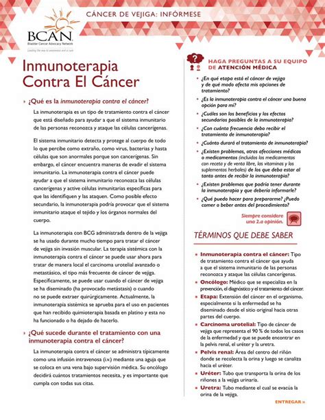 PDF Inmunoterapia Contra El Cáncer La inmunoterapia contra el