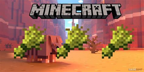 Minecraft Player Showcases Ridiculously Big Wheat Farm In Their