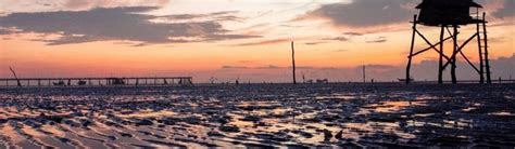 tan thanh beach   visit  tien giang province tnk travel