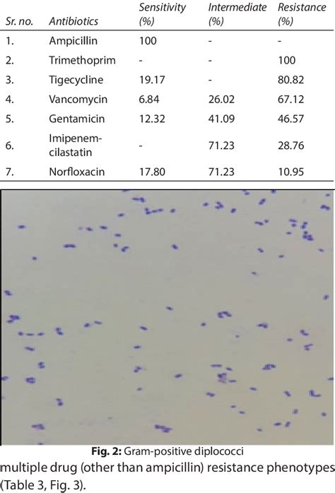 Detection Of Multidrug Resistance Isolates Download Scientific Diagram