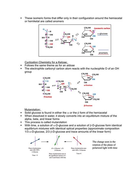 Bioc 2580 Final Exam Notes Bioc 2580 Introduction To Biochemistry Uoguelph Thinkswap