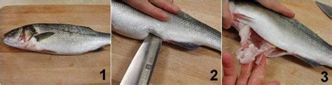 Ricetta Branzino In Crosta Di Sale Erbe E Birra La Ricetta Di