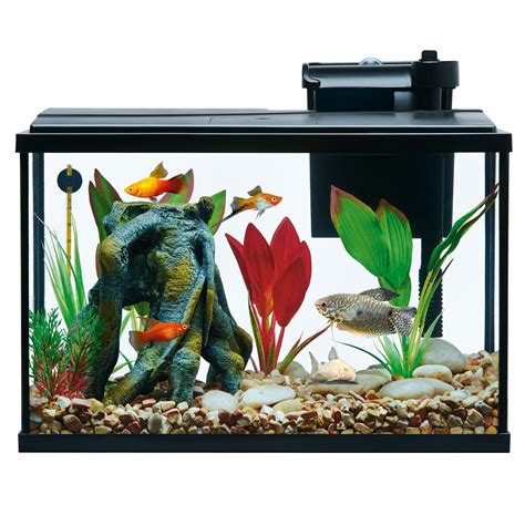 100 Gallon Fish Tank Starter Kit - Ape Aquarium Fish