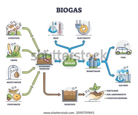 105 Biogas Diagram Images, Stock Photos & Vectors | Shutterstock