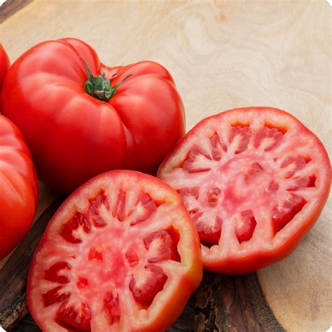 Beefsteak Tomato Seeds Heirloom Untreated Non Gmo From Canada The