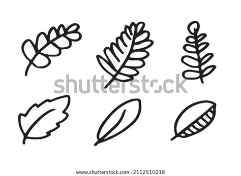 Vector Doodle Leaves Set On White Stock Vector Royalty Free