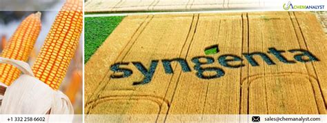 Syngenta Unveils Largest NK Seeds Corn Portfolio In 10 Years