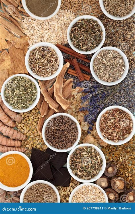 Nervine Food Herbal Medicine Large Collection Stock Image Image Of