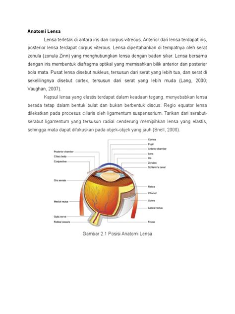 Pdf Anatomi Histologi Lensa Mata Dokumen Tips Hot Sex Picture