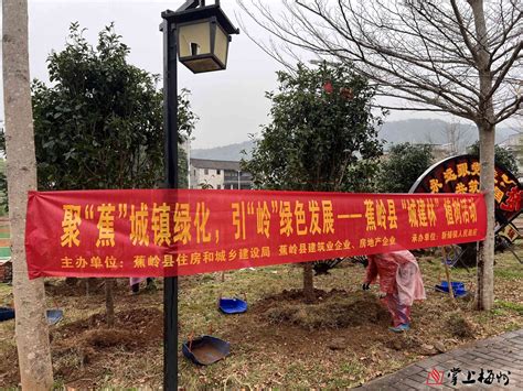 聚“蕉”城镇绿化，引“岭”绿色发展！蕉岭县举行“城建林”植树活动掌上梅州