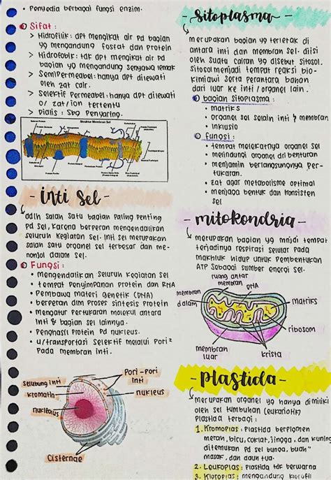 biologi kelas  sel clearnote rangkuman sel kelas  catatan