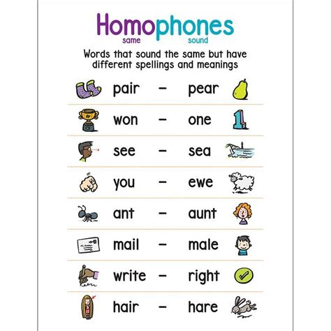 Anchor Chart Homophones Learn English Words English Writing Skills