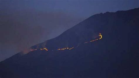 Lereng Gunung Sumbing Terbakar News