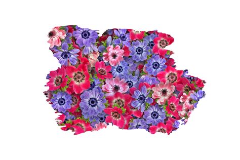 Flower Sublimation Clipart Png 21444154 Png