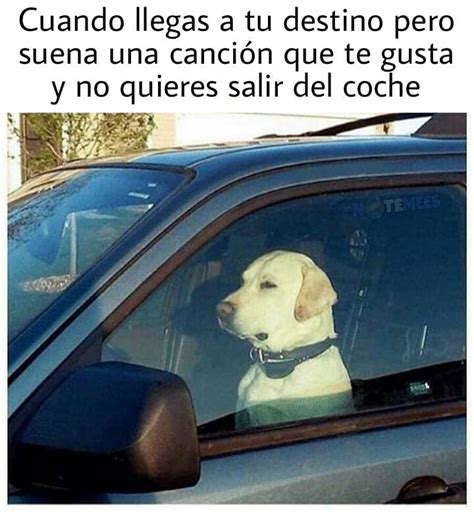 Cuando Llegas A Tu Destino Pero Suena Una Canci N Que Te Gusta Y No