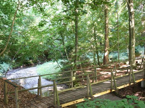 Le Sentier De La Truite Morges Suisse Tourisme