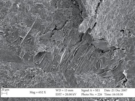 Scanning Electron Microscopy Image Of The Wu Section In The Ke