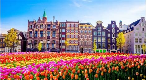 Netherlands Tourist Attractions That are worth Visiting