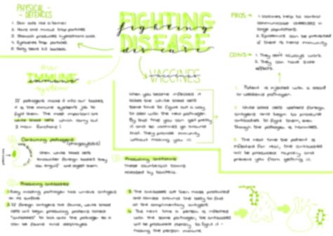 gcse biology revision notes topic  infection  response artofit