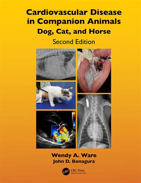 Small Animal Cardiovascular Medicine - Booksvets