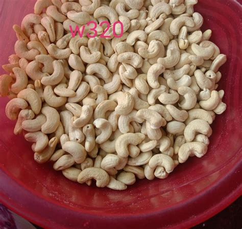 Raw Ivory W320 Cashew Nut At Rs 671 Kg In Gurgaon ID 25857406791