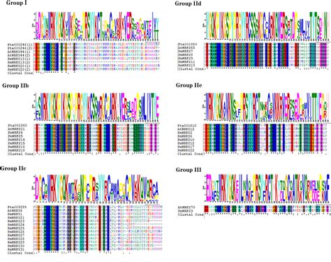 Figure 2 From Transcriptome Wide Identification Of WRKY Transcription